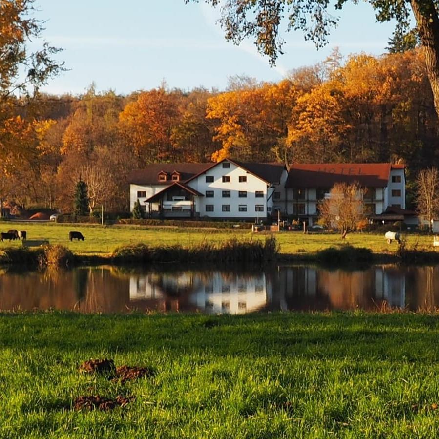 Landgasthof Rotlipp Gaestezimmer Ortenberg  Dış mekan fotoğraf