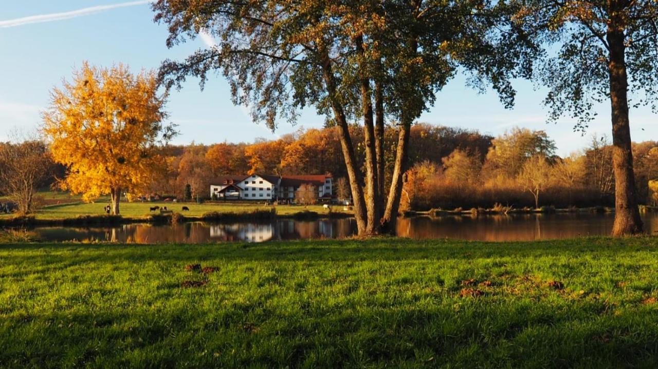 Landgasthof Rotlipp Gaestezimmer Ortenberg  Dış mekan fotoğraf